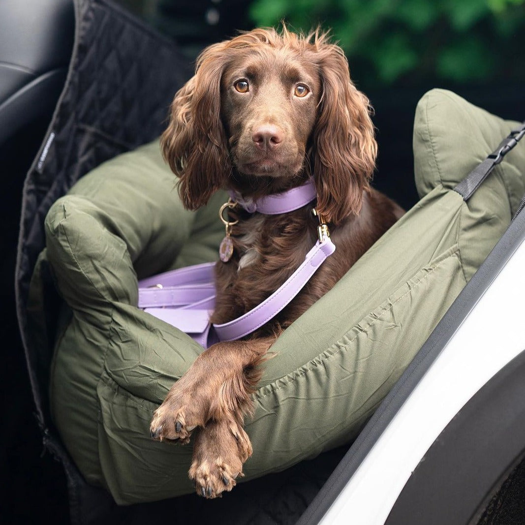 Comfort Dog Car Seat