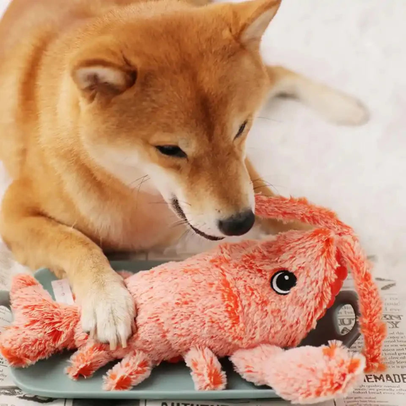 Floppy Lobster Interactive Dog Toy