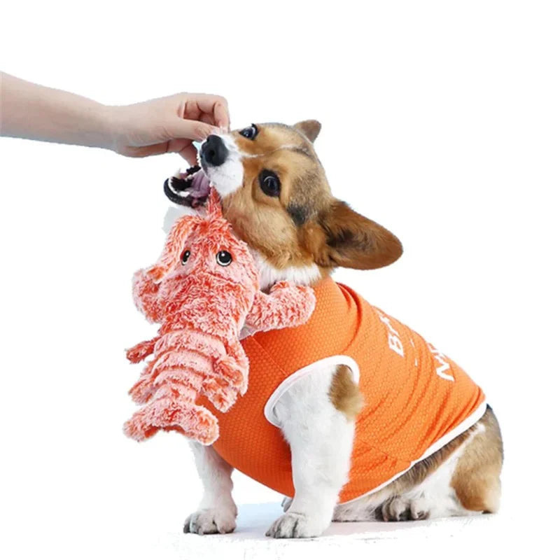 Floppy Lobster Interactive Dog Toy