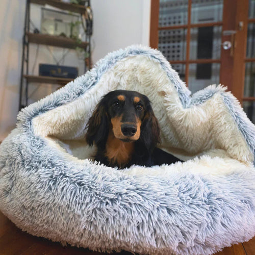 Cozycave Soft Cuddle Dog Bed