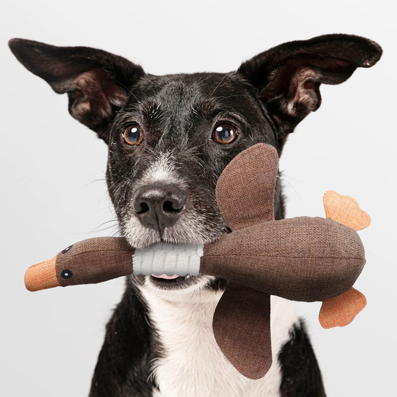 ToughGoose - Ultra-Durable Dog Toy