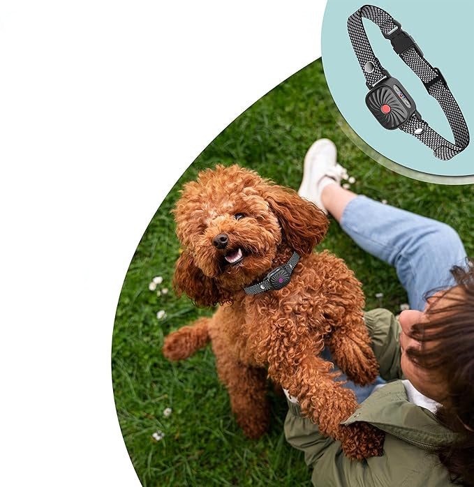 QuietPup Anti-Bark Collar | Gentle Training for Small Dogs