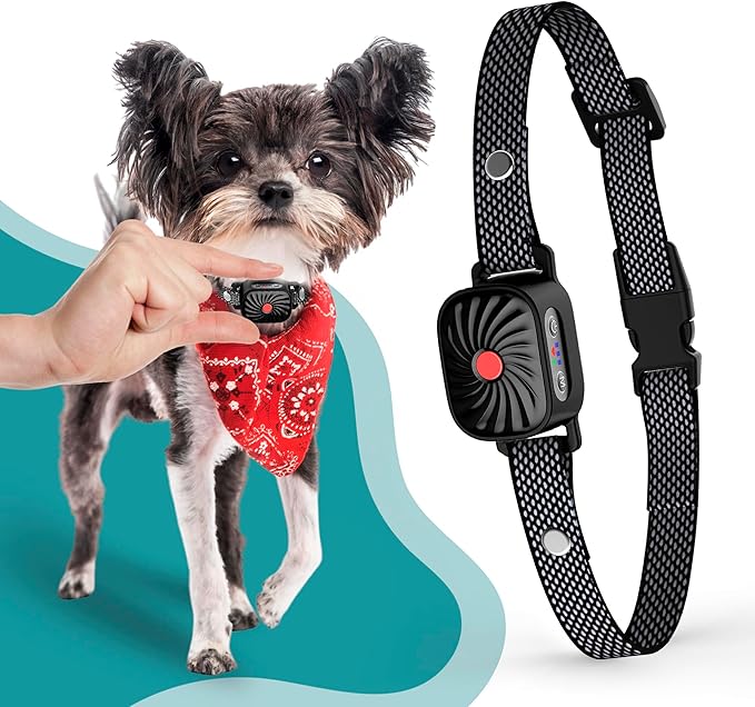 QuietPup Anti-Bark Collar | Gentle Training for Small Dogs