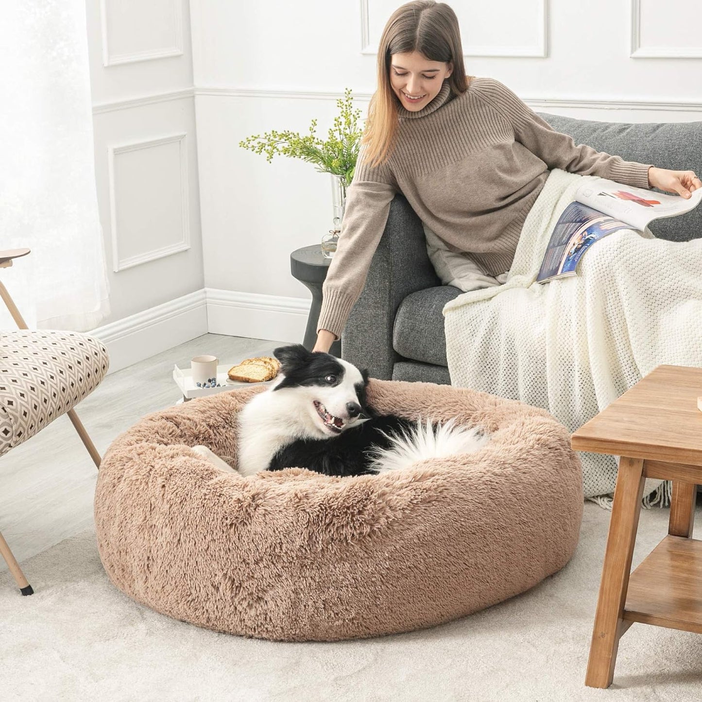 Resting Cloud Dog Bed