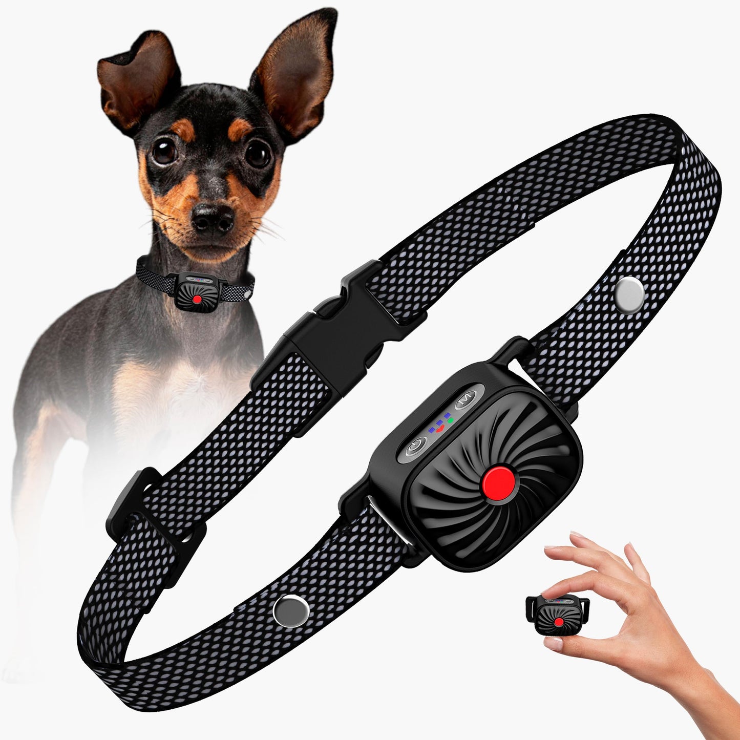 QuietPup Anti-Bark Collar | Gentle Training for Small Dogs