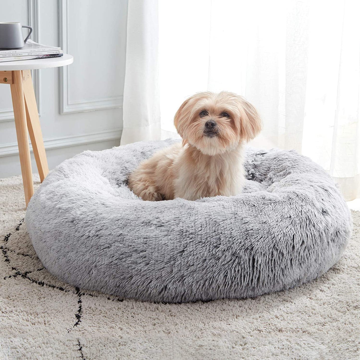 Resting Cloud Dog Bed