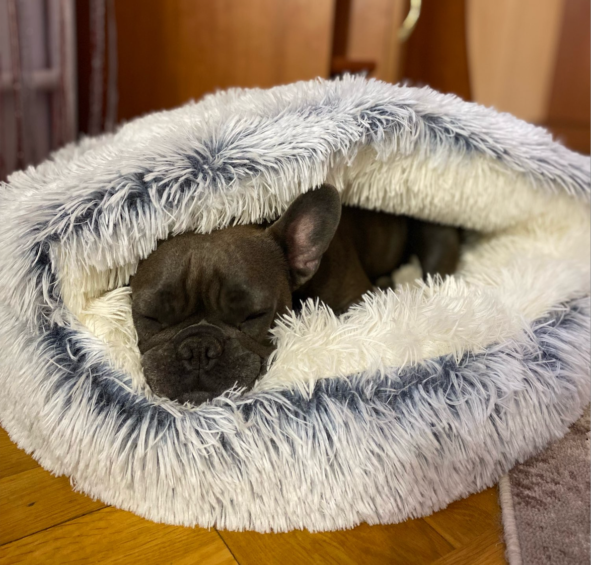 Cozycave Soft Cuddle Dog Bed