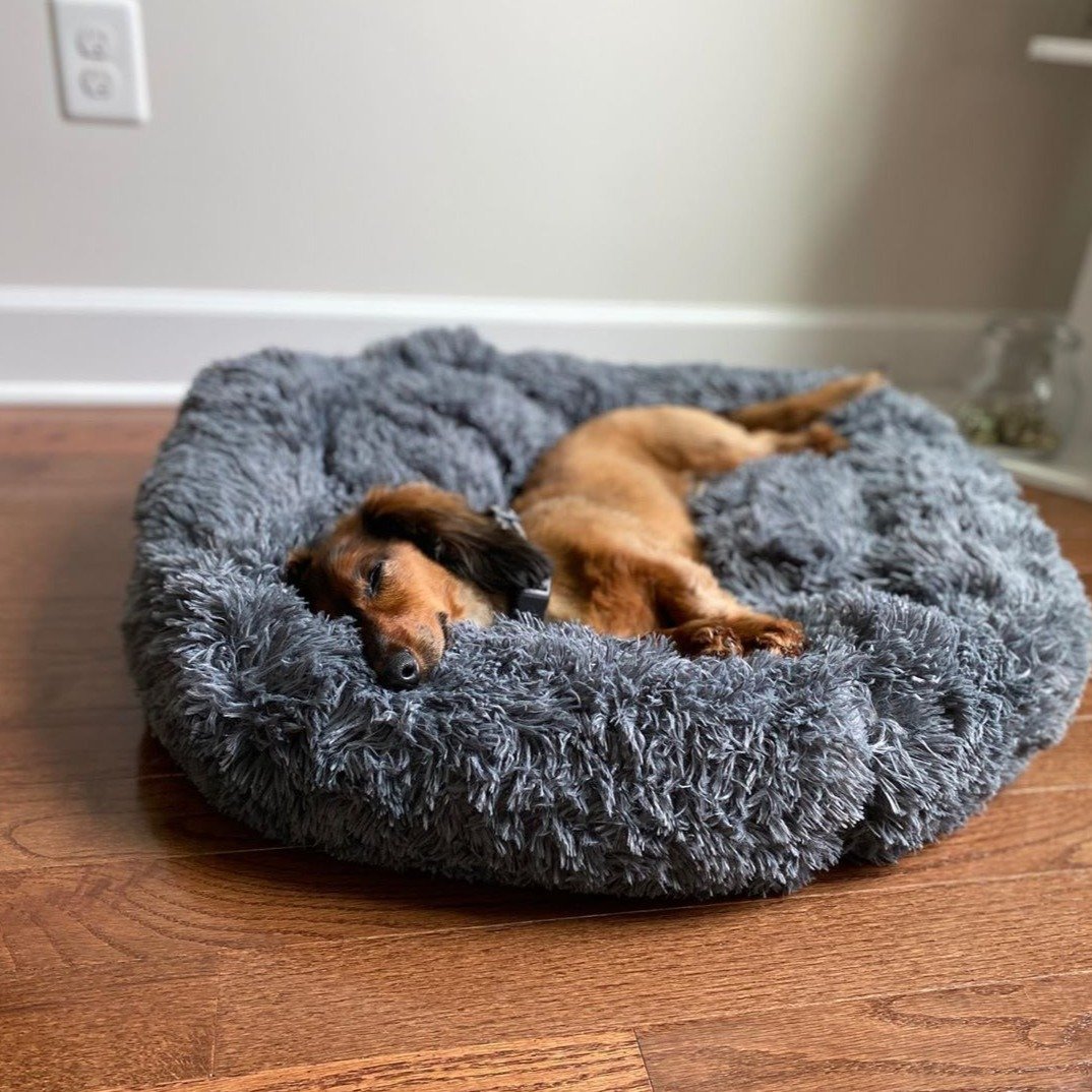 Resting Cloud Dog Bed