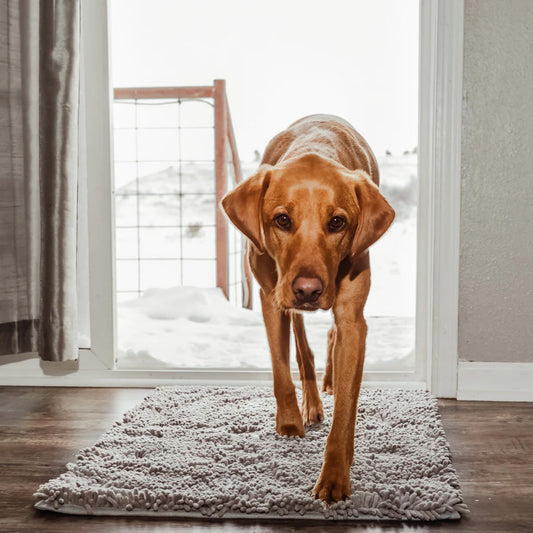 PawFresh Mat - Dog Door Clean-Up Solution