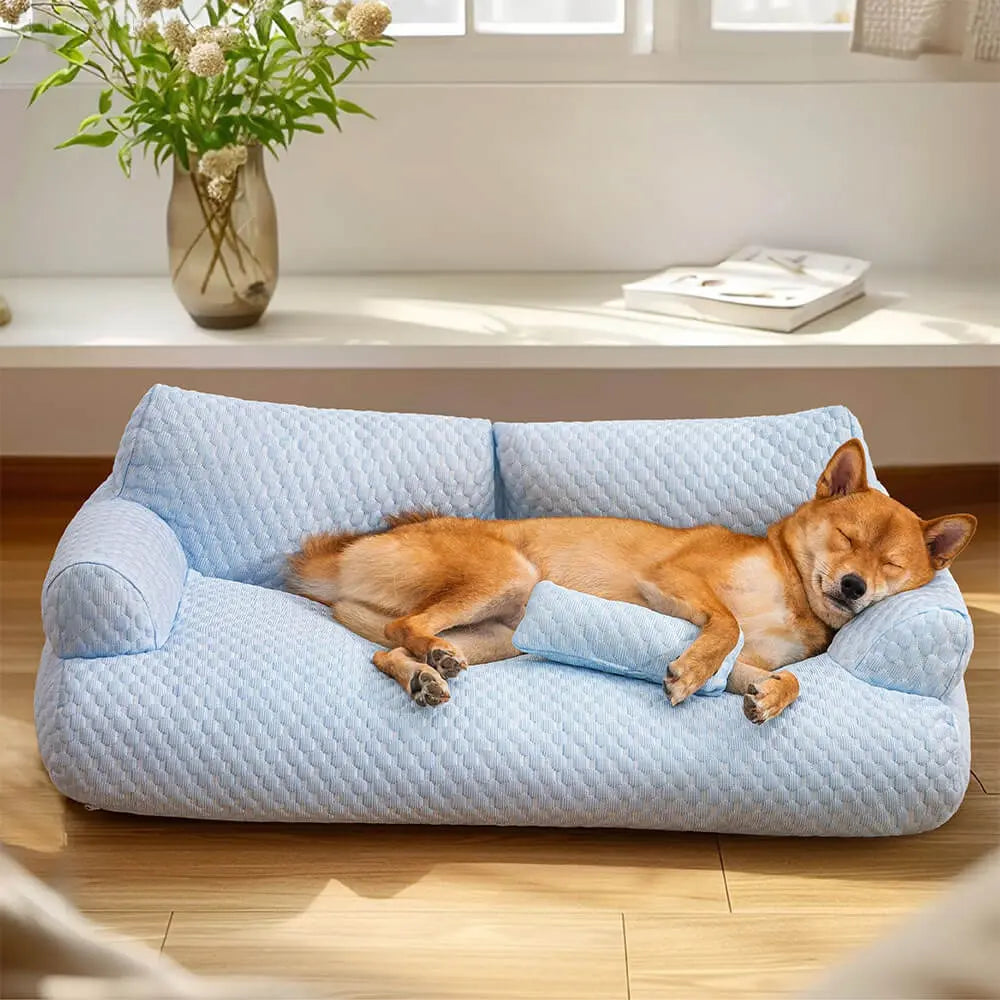 CozyPaws - Washable Plush Cushion Bed for Pets