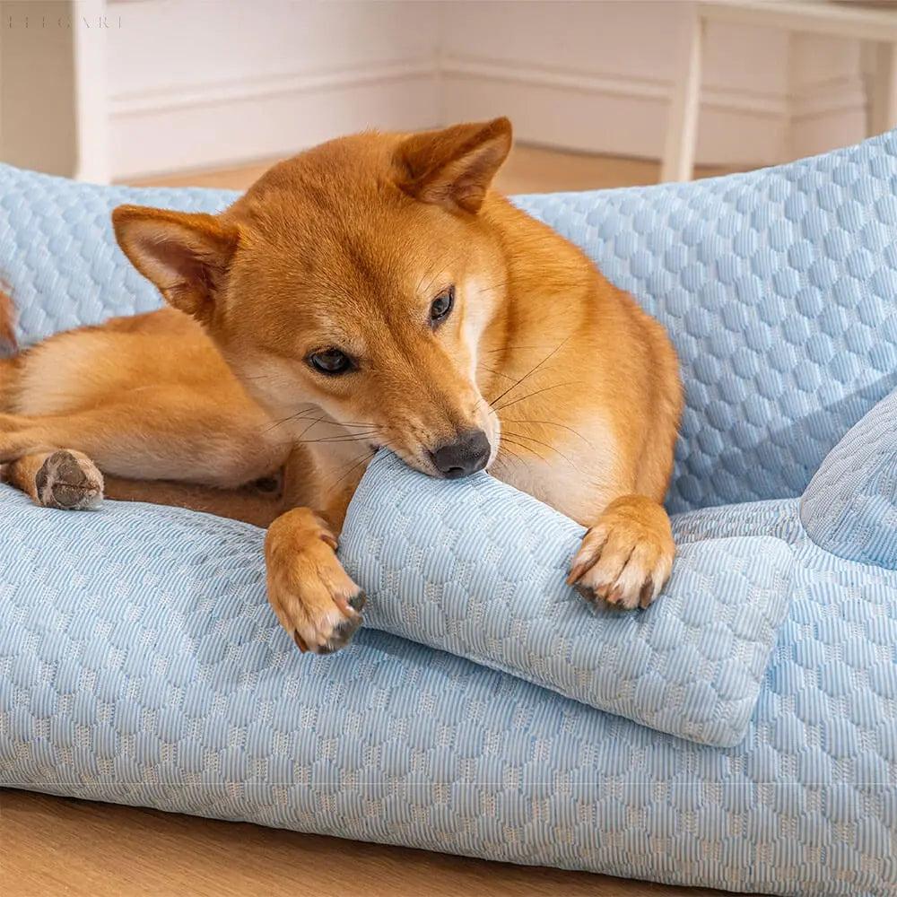 CozyPaws - Washable Plush Cushion Bed for Pets