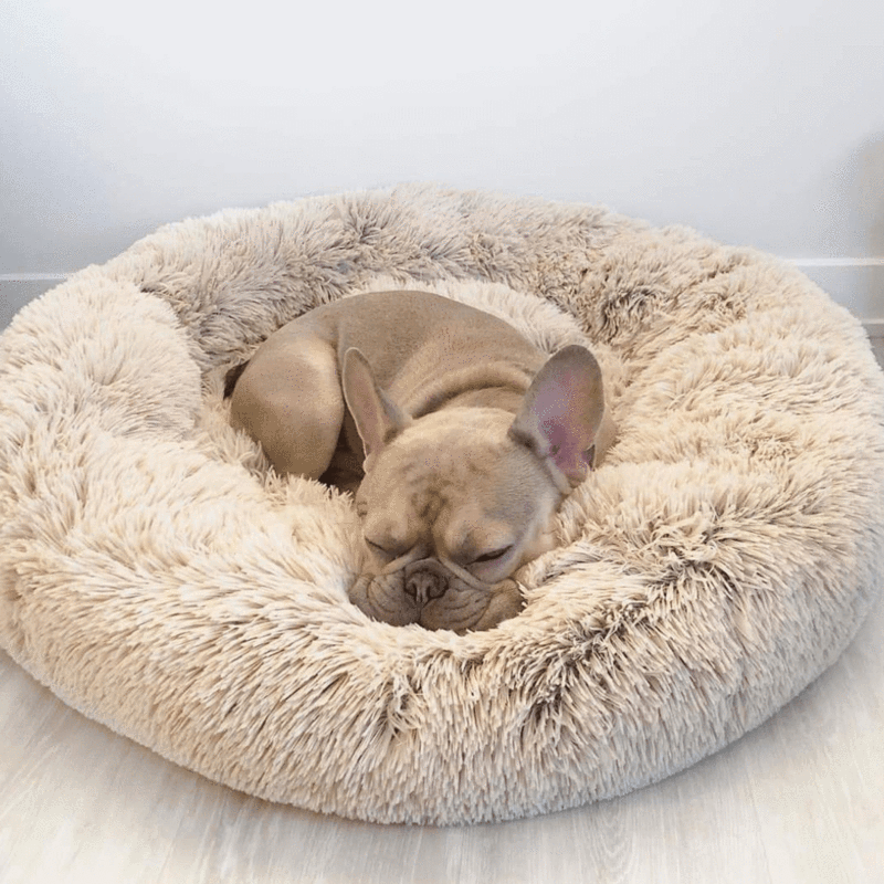 Resting Cloud Dog Bed