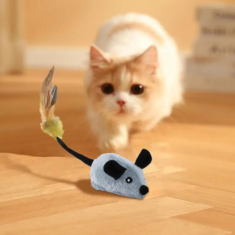 ChaseMate Interactive Cat Toy | Durable & Safe