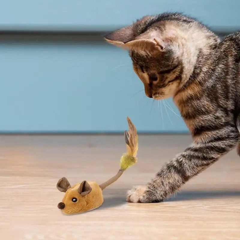 ChaseMate Interactive Cat Toy | Durable & Safe