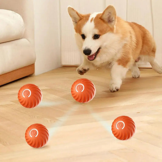 PawMotion Interactive Dog Toy