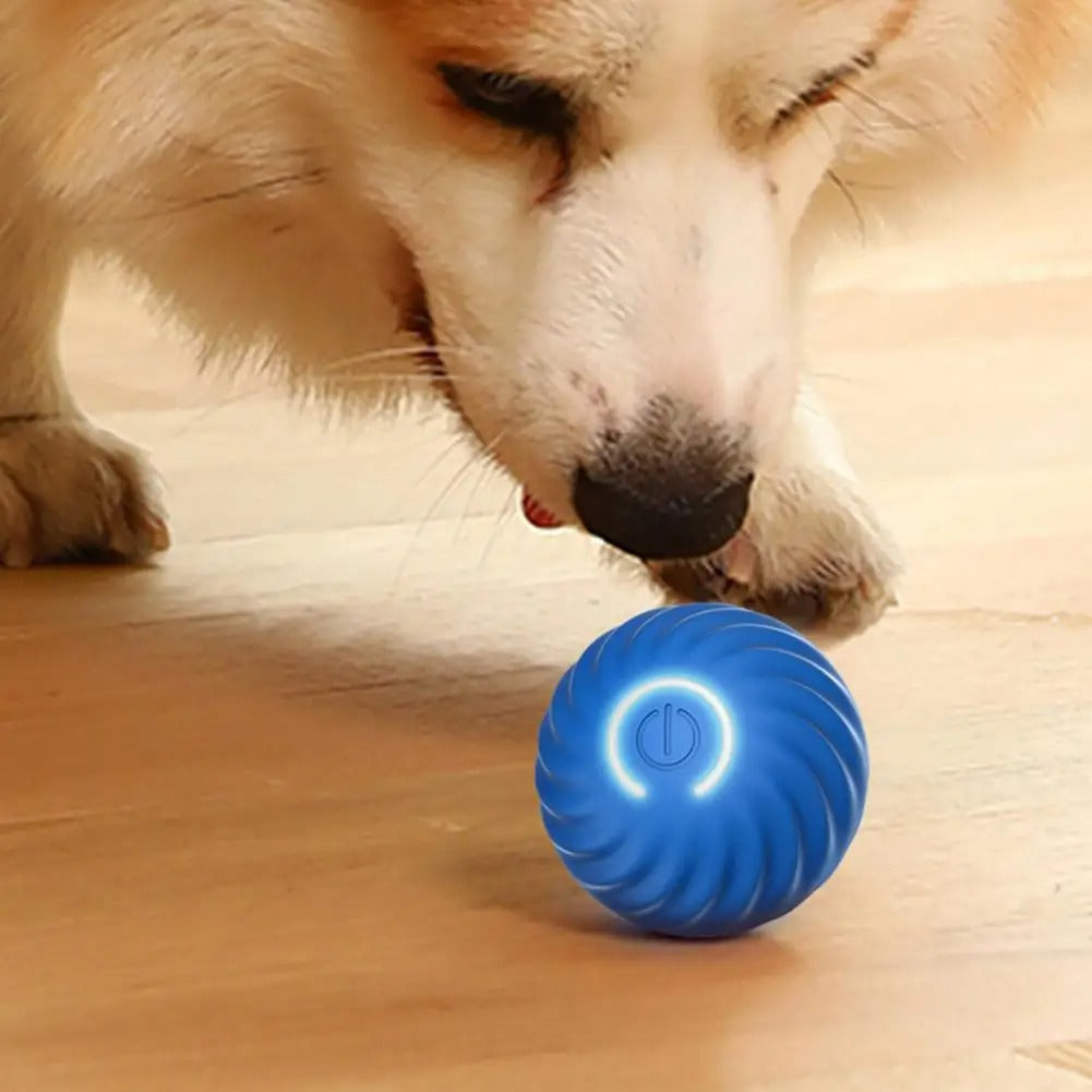 PawMotion Interactive Dog Toy