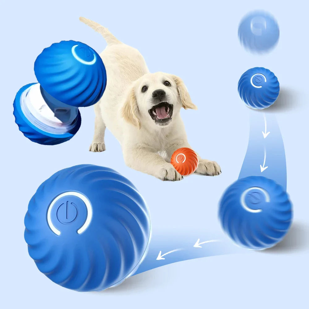 PawMotion Interactive Dog Toy