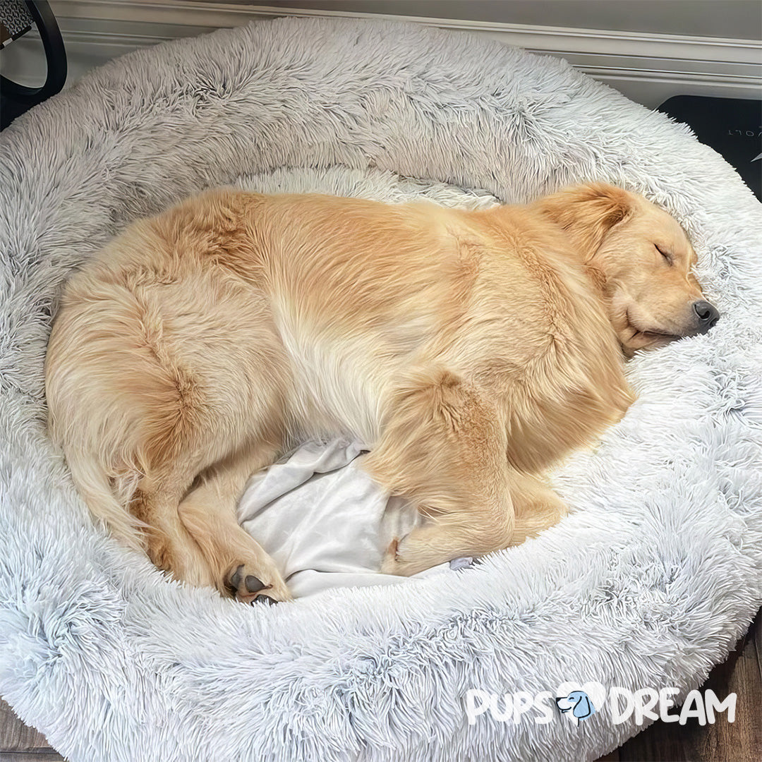 Resting Cloud Dog Bed