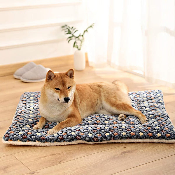 Soothing Cozy Pet Blanket