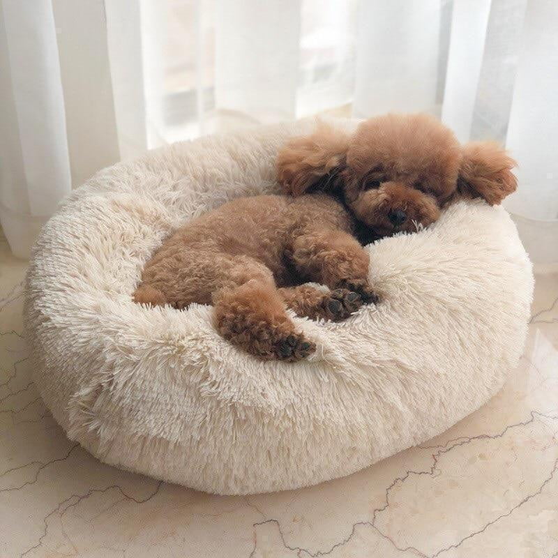 Resting Cloud Dog Bed