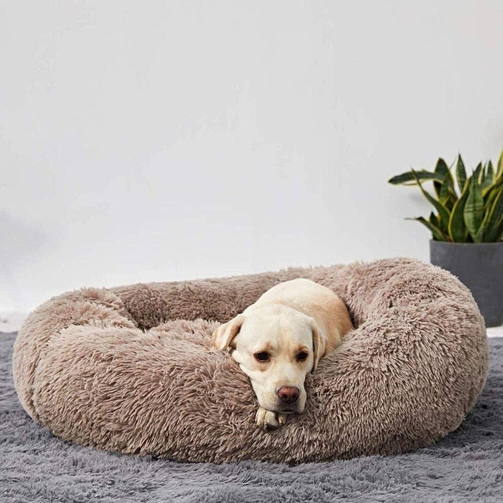 Resting Cloud Dog Bed